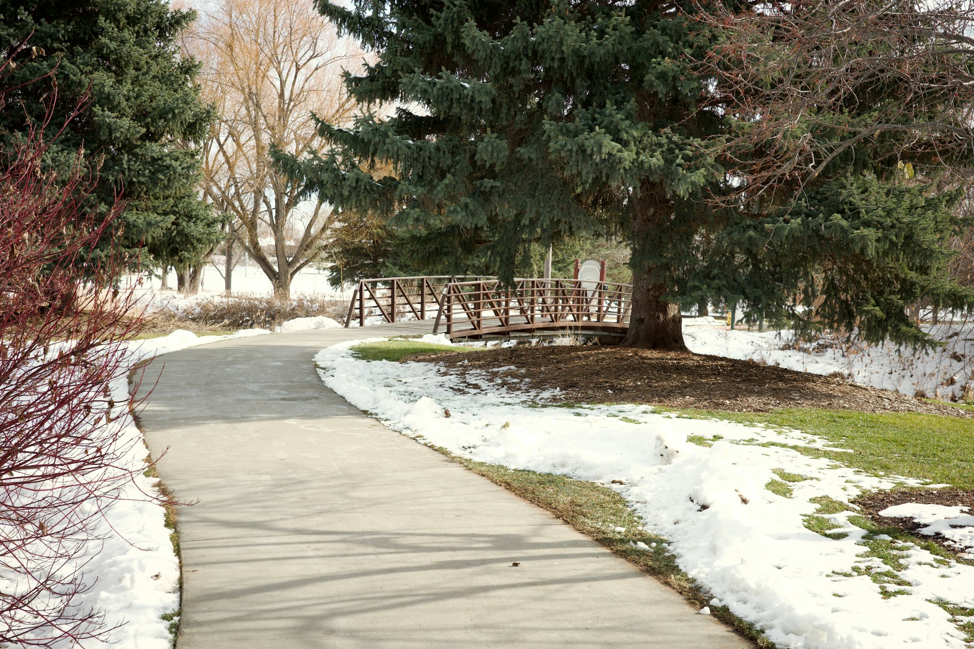 Transform Your Curb Appeal: Expert Strategies for a Winter-Proofed Front Yard