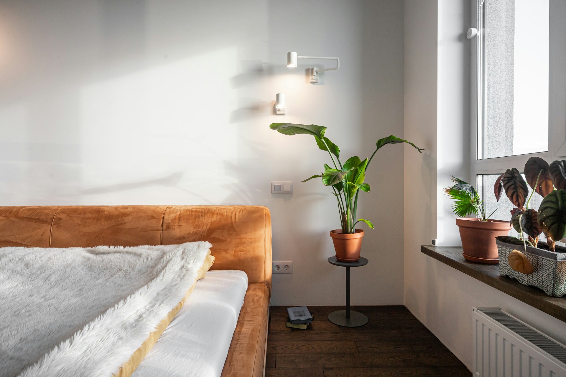 Transform Your Bedroom with Low-Light Houseplants: A Practical Guide to Greener, Healthier Spaces