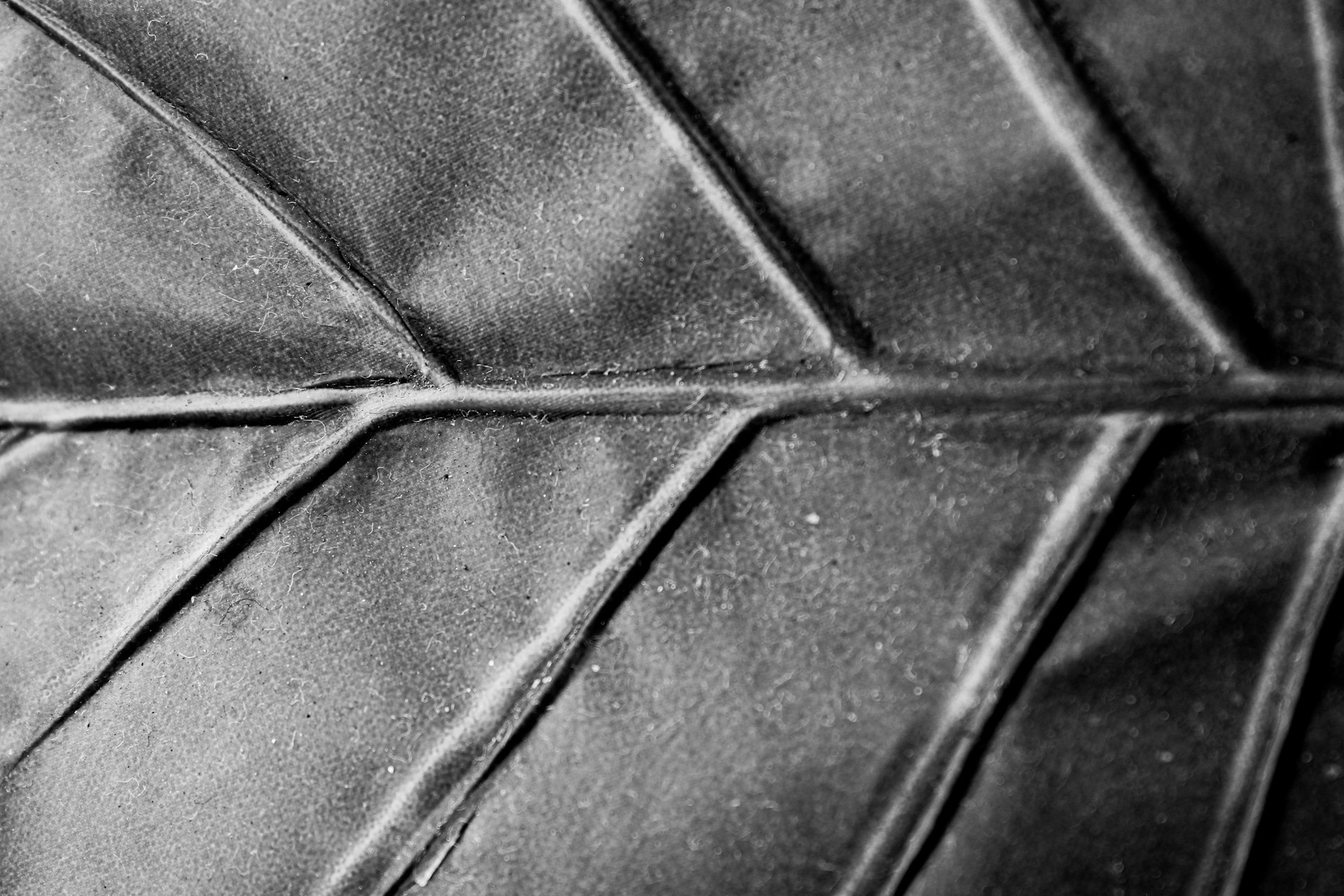 Sustainable Automotive Leather Alternatives: Leading Innovations and Practical Adoption Strategies